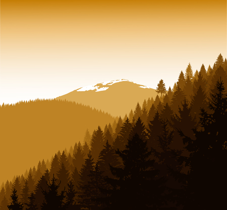 Panorama of mountains. Silhouette of mountains with snow and coniferous trees. Golden autumn. Can be used as eco banner.のイラスト素材