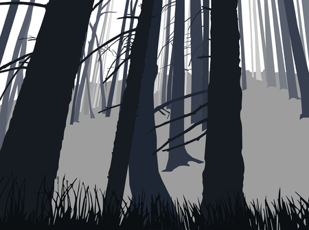Image landscape. Eco banner. Trunks of coniferous  trees.のイラスト素材