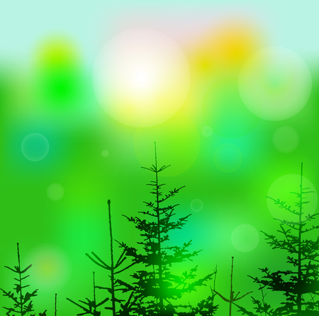 Eco banner with lights and coniferous trees. Can be used as poster, background, backdrop, label of mineral water...のイラスト素材