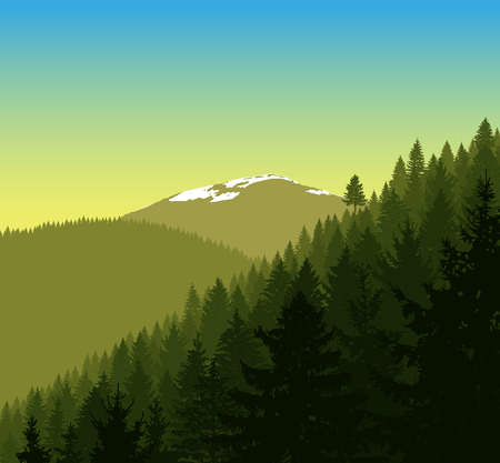 Panorama of mountains. Silhouette of mountains with snow and coniferous trees on the background of colorful sky. Can be used as eco banner.のイラスト素材