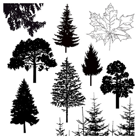 Image silhouette of different trees. Can be used as poster, badge, emblem, banner, icon, sign.のイラスト素材