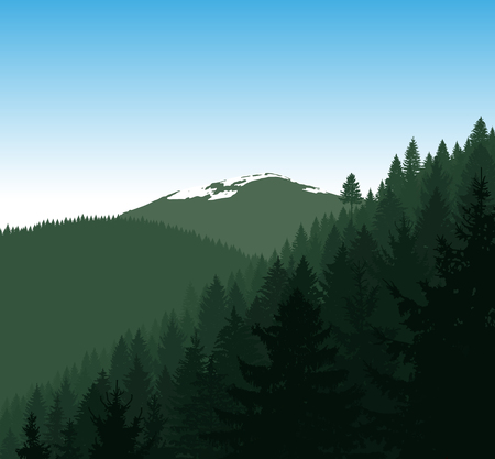 Panorama of mountains. Silhouette of mountains with snow and coniferous trees on the background of blue sky. Natural tones. Can be used as eco banner.のイラスト素材