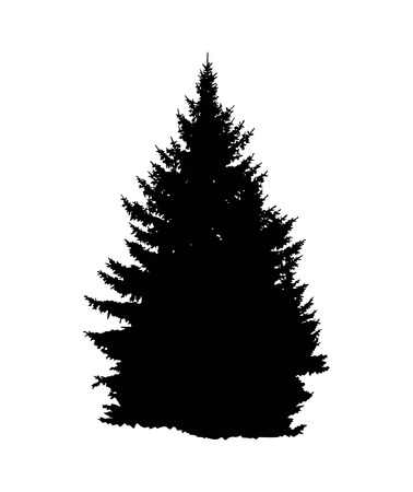 Silhouette of pine  tree (fir) . Can be used as poster, badge, emblem, banner, icon, sign, decor...のイラスト素材