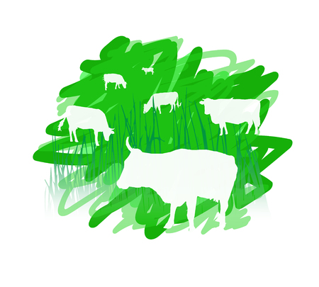 Image eco banner of organic healthy nutrition. White cows on the background of green field.のイラスト素材