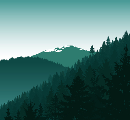 Panorama of mountains. Silhouette of mountains with snow and coniferous trees. Green tones. Can be used as eco banner.のイラスト素材