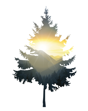 Silhouette of pine tree with mountains panorama. Colorful sunset in wild valley.のイラスト素材