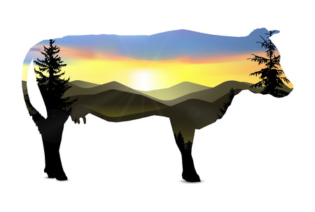 Silhouette of cow with nature landscape of mountains. Evening. Sunset.  Protect environment banner....