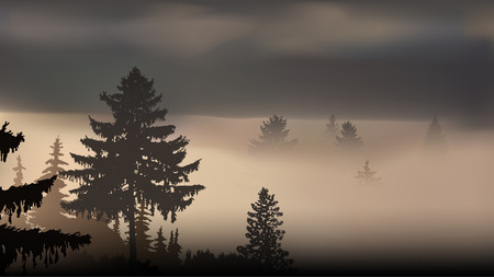 Panorama of mountains and pine forest. Lights of sunset. Thick fog.のイラスト素材