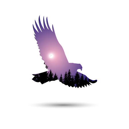 Silhouette of eagle with  coniferous trees on the background of violet sky.  Moonlight.のイラスト素材