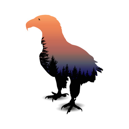 Silhouette of eagle with coniferous trees on the background of blue and violet sky.のイラスト素材