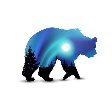 Silhouette of wild bear with coniferous trees on the background of colorful sky.  Moonlight. Northern lights.のイラスト素材