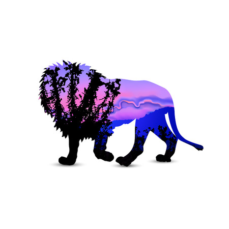 Lion with african savannah and colorful sky.のイラスト素材