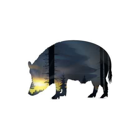 Silhouette of boar with panorama of forest. Pine trees and trunks. Sunset. Natural grey and yellow tones.のイラスト素材