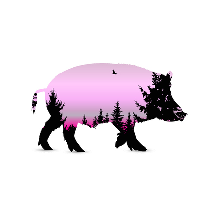 Silhouette of boar with coniferous forest on the background of pink (violet) sky. Evening.のイラスト素材