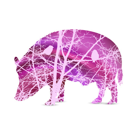 Silhouette of boar with branches of trees without leaves. Love couple of birds looking each  other. Abstract pink tones.のイラスト素材