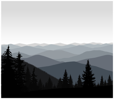 Panorama of mountains. Grey shades.のイラスト素材