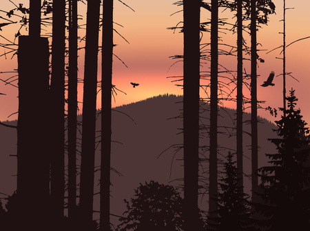 Image landscape. Eco banner. Sunset in mountains.のイラスト素材