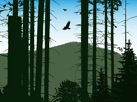 Image landscape. Eco banner. Blue and green tones.のイラスト素材