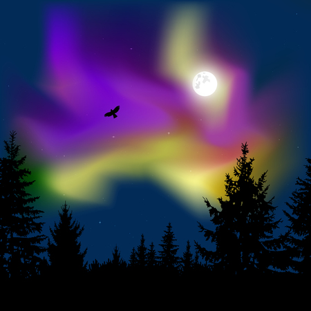 Silhouette of coniferous trees on the background of colorful sky.  Flying eagle. Night. Moonlight.  Violet  and yellow northern lights.のイラスト素材