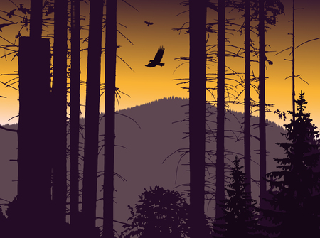 Image landscape. Eco banner. Violet and yellow tones.の写真素材