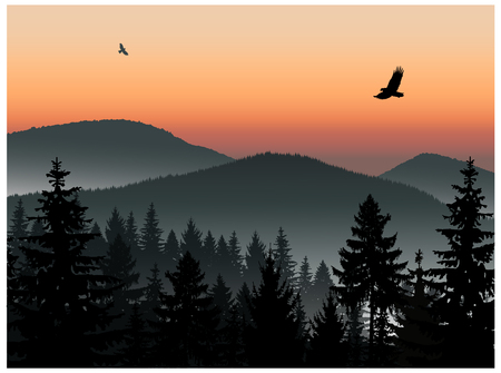 Landscape. Panorama of mountains. Sunset. Mist. Flying eagles.の写真素材