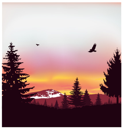 Image landscape. Silhouette of coniferous trees on the background of snowy mountains and colorful sky. Sunset. Flying eagles.の写真素材