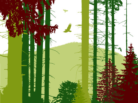 Image landscape. Eco banner. Abstract tones.の写真素材