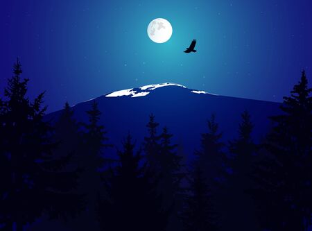 Landscape. Eco banner. Night. Moonlights.の写真素材