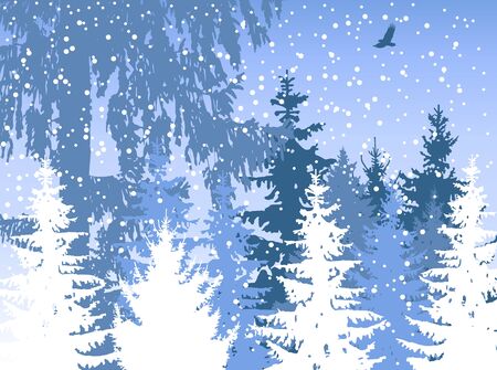 Landscape. Woodland. Winter. It is snowing.の写真素材