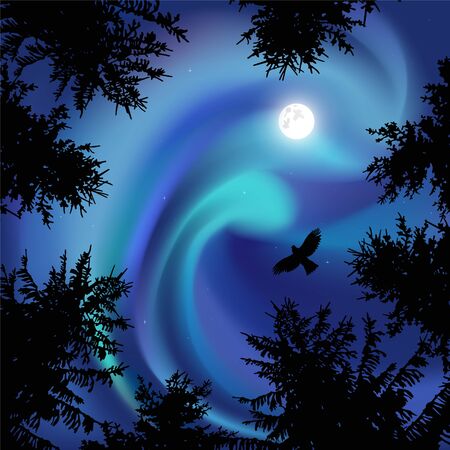 Silhouette of coniferous trees on the background of blue sky.  Eagle in the sky. Night. Northern lights.   View from below.の写真素材