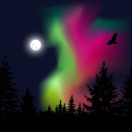 Silhouette of coniferous trees on the background of colorful sky.  Flying eagle. Night. Green  and pink northern lights.の写真素材