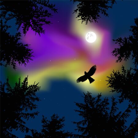 Silhouette of coniferous trees on the background of colorful sky.  Eagle in the sky. Night. Yellow and violet northern lights.   View from below.の写真素材
