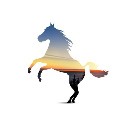 Silhouette of horse with coniferous trees, sea horizon and colorful sky. の写真素材