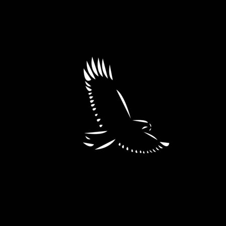 Schematic   icon of flying eagle on the black background.の写真素材