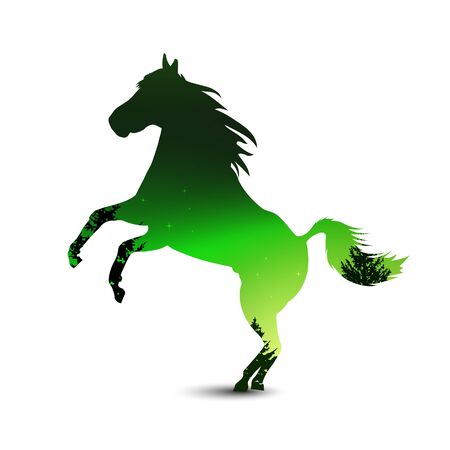 Silhouette of horse with pine forest on the background of colorful sky.  Northern lights. Green and black tones.の写真素材