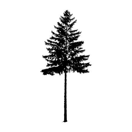 Silhouette of pine tree. Hand made.のイラスト素材