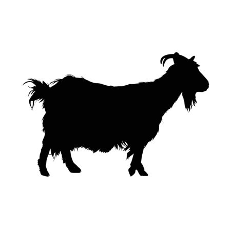 Silhouette of horned goat. Badge.のイラスト素材
