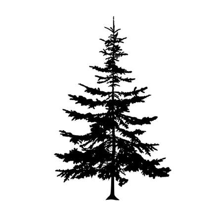 Silhouette of pine tree. Hand made.のイラスト素材