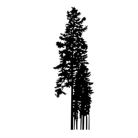 Silhouette of few pine trees. Hand made.のイラスト素材