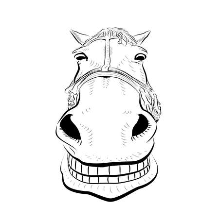 The horse head. Smiling. Sketch art.のイラスト素材