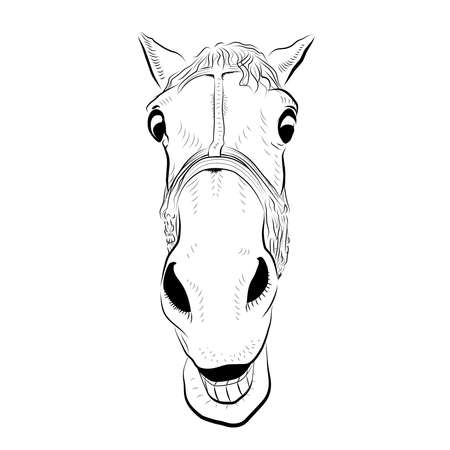 The horse head. Sketch art. Very surprised emotion.のイラスト素材
