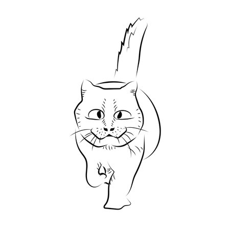 Cartoon walking cat. Sketch style.のイラスト素材