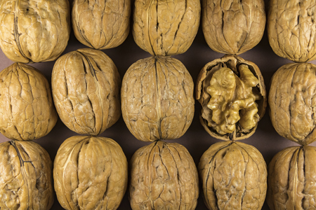 close up walnuts within a hard shellの写真素材