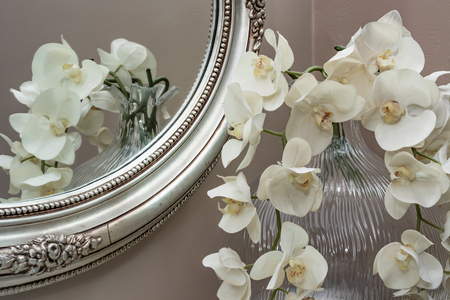 orchids in glass vaseの写真素材