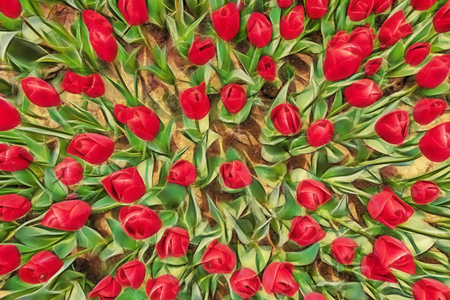 close up tulips in green natureの写真素材