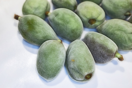raw green almondsの写真素材