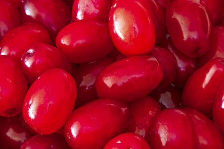 cranberries on yellow plateの写真素材