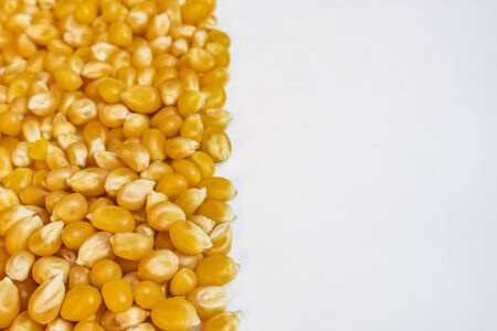 close up cornsの写真素材