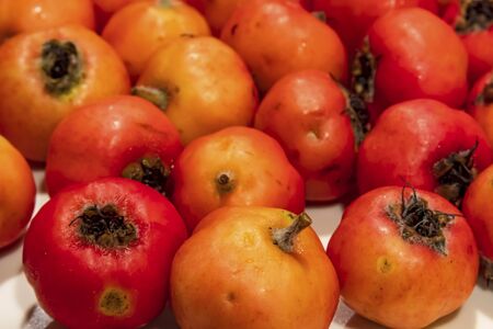 close up hawthorn fruitsの写真素材