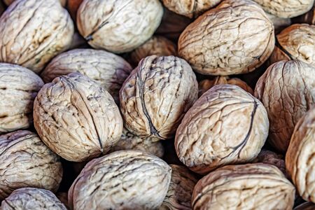 shelled walnuts in bulk